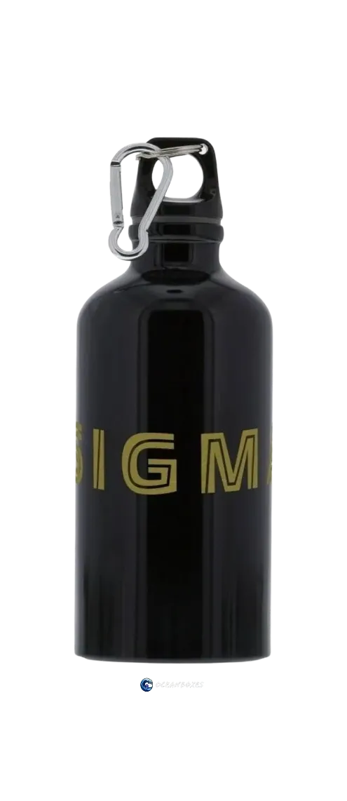 Bouteille d'eau Sigma Black Shine en aluminium de 500 ml avec mousqueton