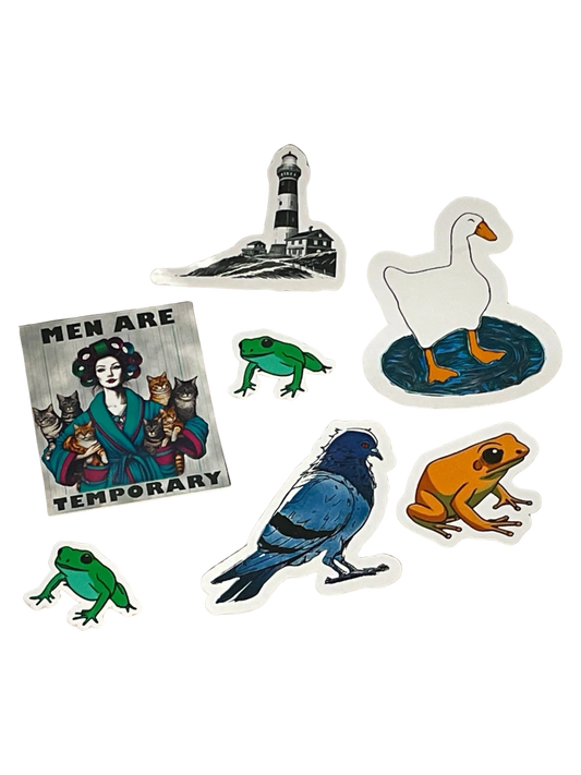 Pack d'autocollants aléatoires C